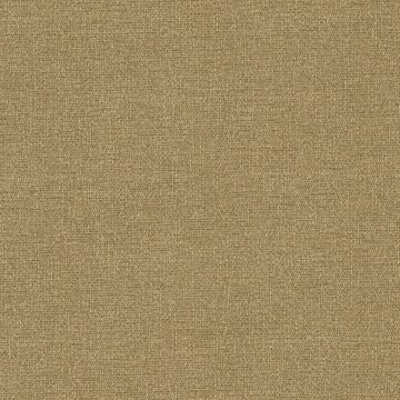 AL13 Gold Weaving