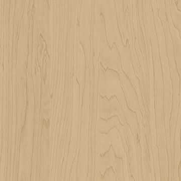 CT20 Gold Birch