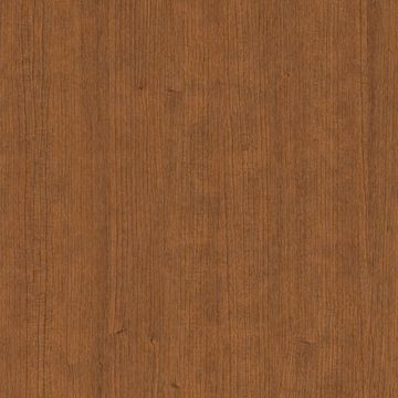 CT43 Turmeric Oak