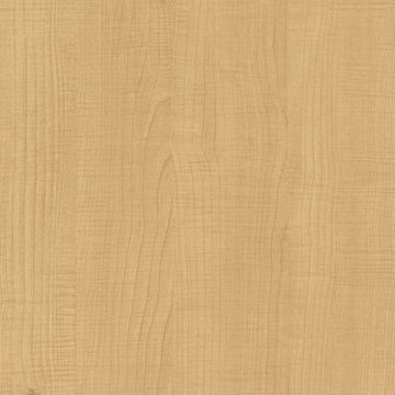 CT46 Ginger Beech
