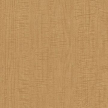 CT70 Nectar Beech