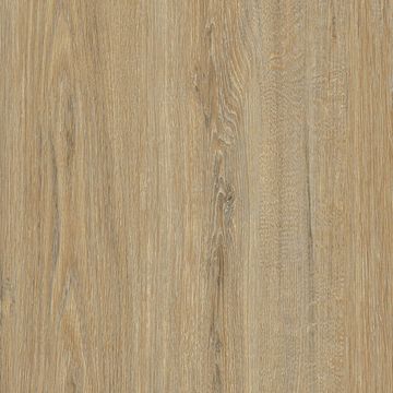 CT82 Bumpy Oak