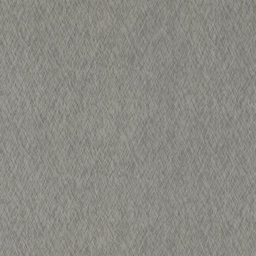 NE51 Etched Champagne