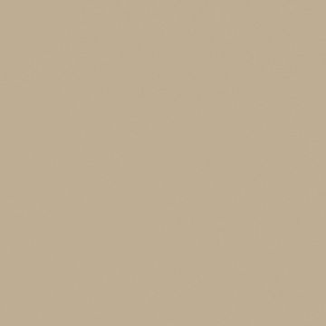 NE55 Caffee Latte