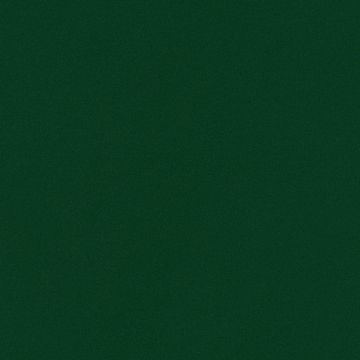 NE83 Evergreen
