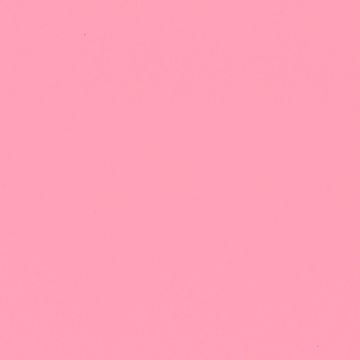 NF07 Pink Flamingo