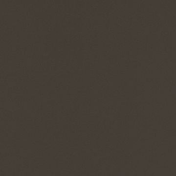 NF09 Cacao