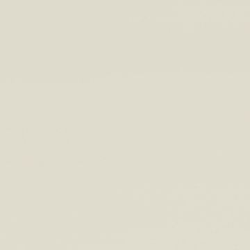 NF16 Ivory