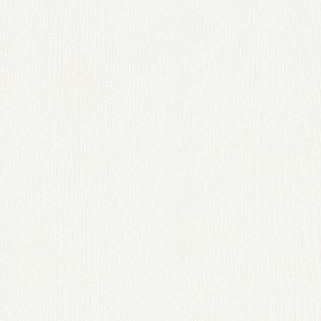 NF17 Crispy White