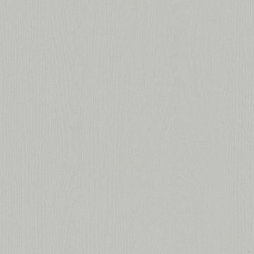 NF20 Crispy Gray