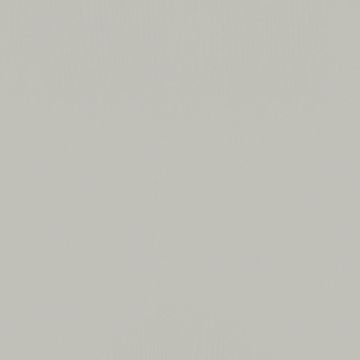 NF23 Oyster