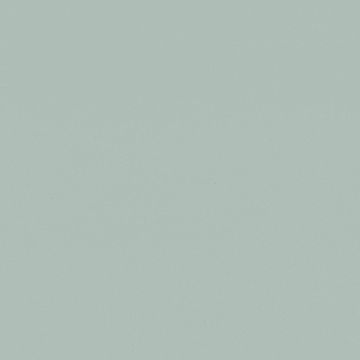 NH21 Sea Salt