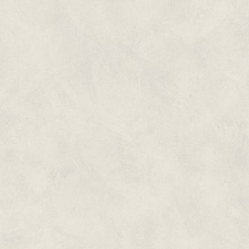NH33 Moon White
