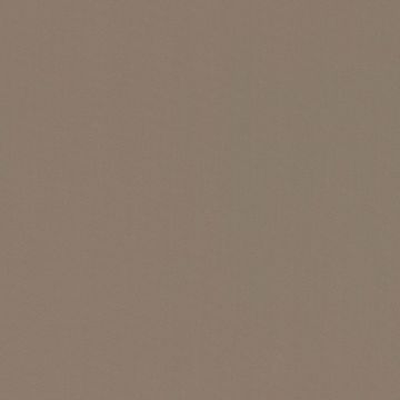 NK24 Suede Champage