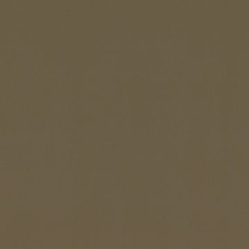 NK27 Suede Gold