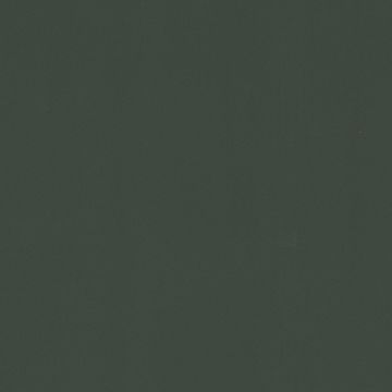 NK29 Suede Green