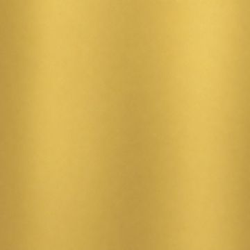 NL2 Mirror Gold