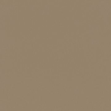 NL6 Mocha