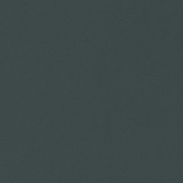 RM06 Carbon