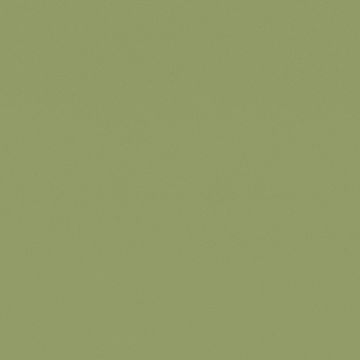 RM19 Olive
